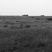 A barren landscape
